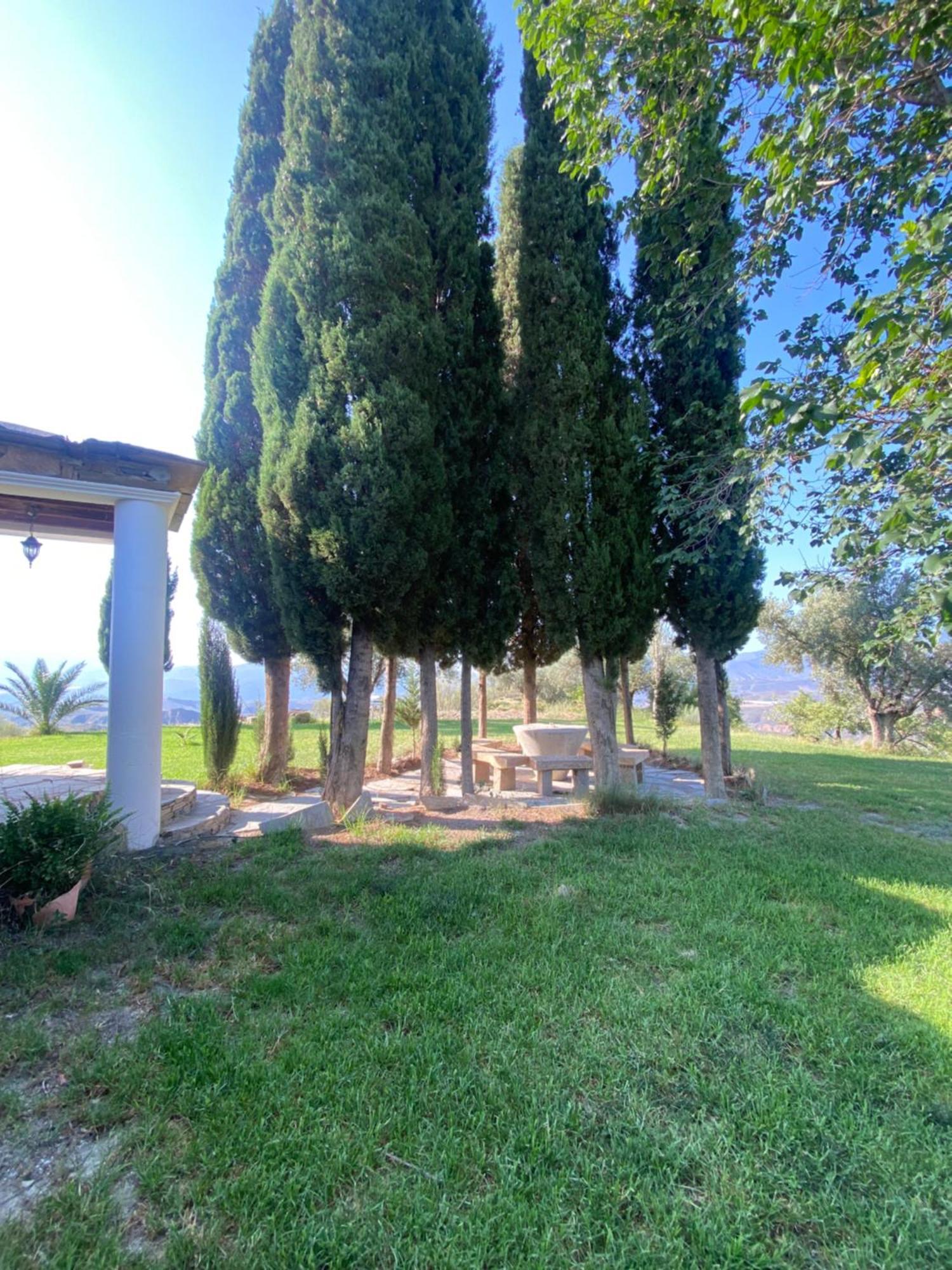 Casa El Higueral Villa Mecina Alfahar Exterior photo